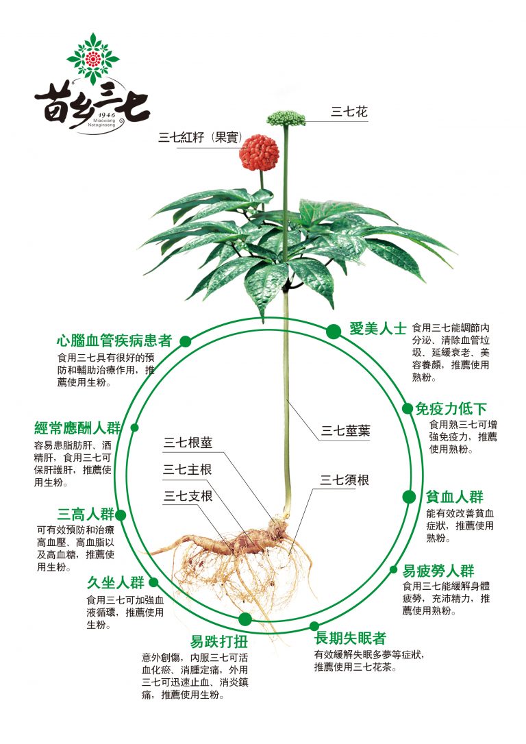 三七株分解图解繁体